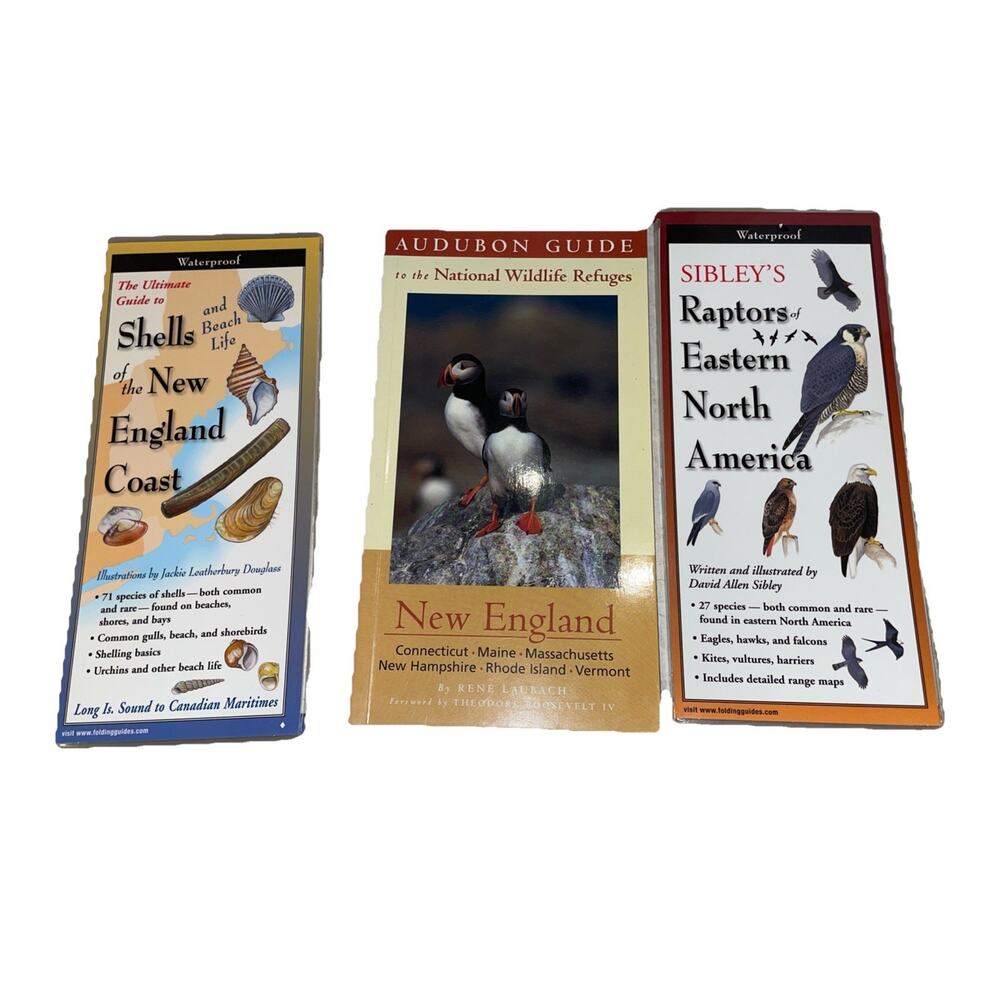 Audubon Guide National Wildlife New England And Guides To Shells & Raptors Of NA